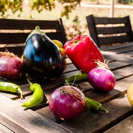 Villa Helloapulia Trulli Di Nifra