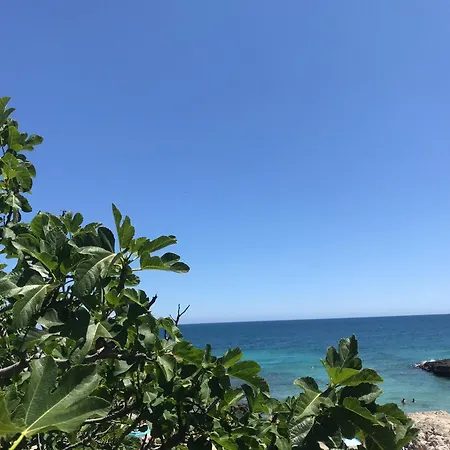 Helloapulia - Trulli Di Nifra Panoramic Hill 别墅